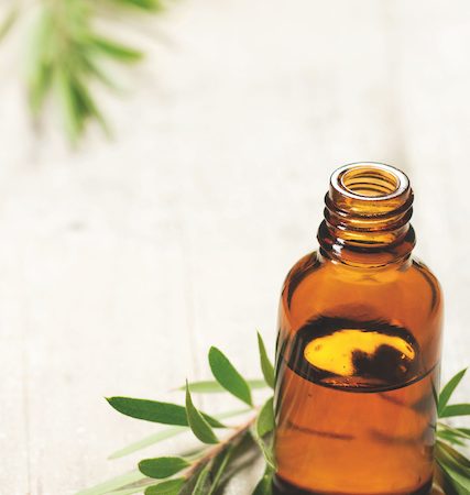 Haz tu propio limpiador casero con aceite de árbol de té