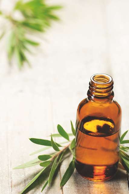 Haz tu propio limpiador casero con aceite de árbol de té