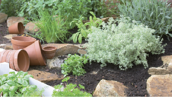 PUBLI: Aromáticas de tu jardín para la barbacoa