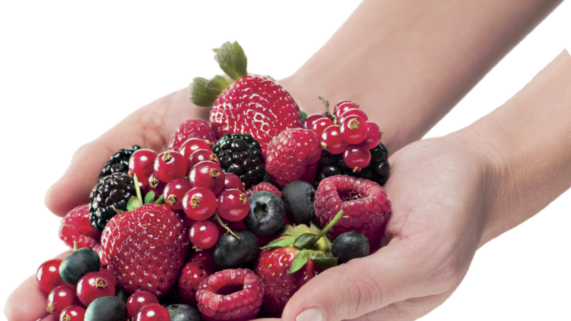 Alarga la vida de los frutos rojos