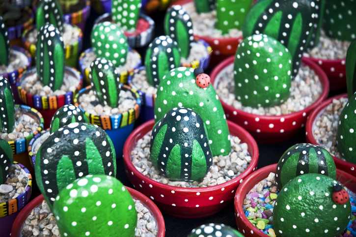 Cactus de piedra