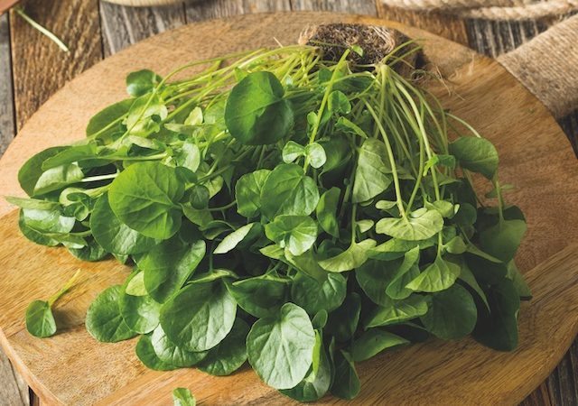Alimentos depurativos 17. Berros