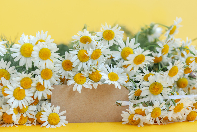 4 Maneras originales de decorar con flores
