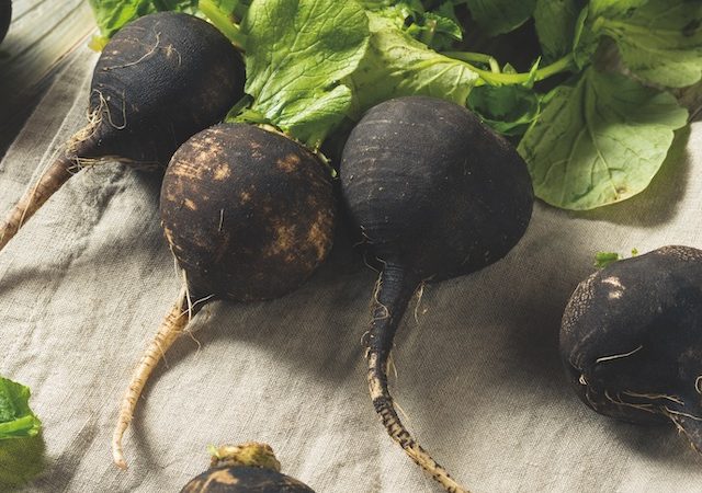 Alimentos depurativos 6. Rábano negro