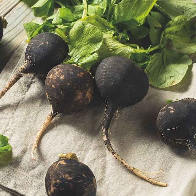 Alimentos depurativos 6. Rábano negro