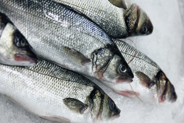 ¿Quieres saber si el pescado es realmente fresco?