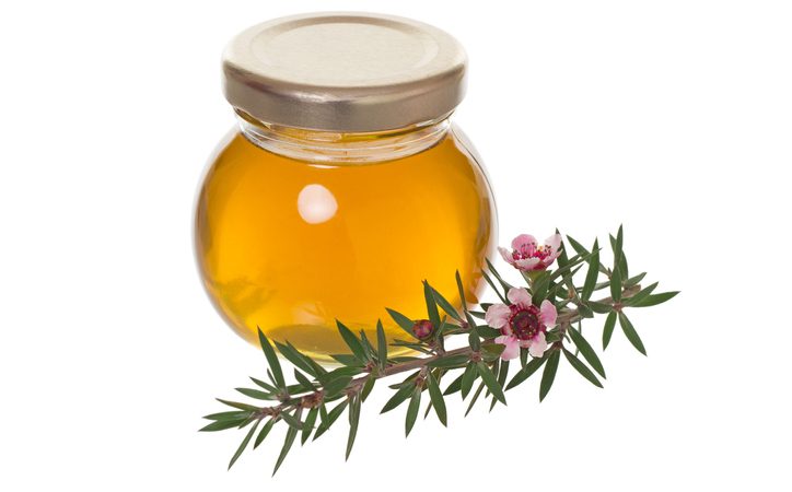 10 Remedios que mejoran tu salud con aceite esencial del árbol de té